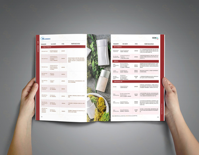 化工产品画册设计的方法思路与广州软件开发的创新应用